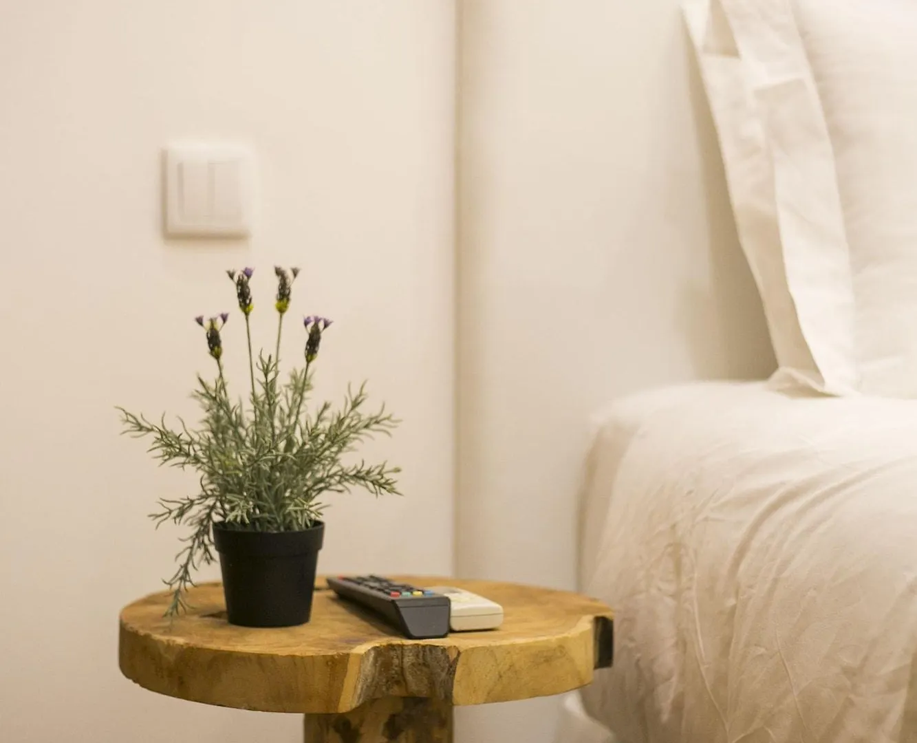 *** Guest house 262 Boutique Hotel Portugal